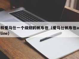 和爱马仕一个级别的帆布包（爱马仕帆布包aline）