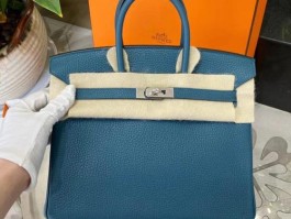 爱马仕蜥蜴皮包价位(爱马仕蜥蜴皮birkin)