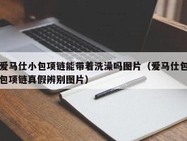 爱马仕小包项链能带着洗澡吗图片（爱马仕包包项链真假辨别图片）