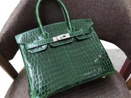 爱马仕最贵的包2000万叫什么(爱马仕最贵的包2000万叫什么牌子)