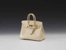 爱马仕birkin25蜥蜴皮(爱马仕蜥蜴皮 mini kelly)