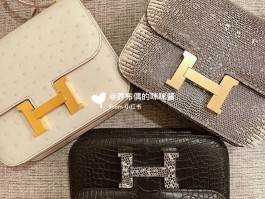 爱马仕喜马拉雅蜥蜴皮(爱马仕喜马拉雅皮的来历)