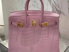 爱马仕定制鳄鱼皮birkin的简单介绍