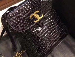 爱马仕鳄鱼皮双肩包(爱马仕鳄鱼皮双肩包图片)