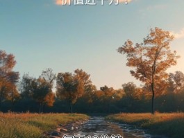 66个爱马仕包在港被抢(爱马仕全球限量版包包60万)
