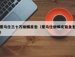 爱马仕三十万蜥蜴皮包（爱马仕蜥蜴皮铂金包）