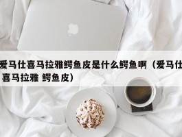 爱马仕喜马拉雅鳄鱼皮是什么鳄鱼啊（爱马仕 喜马拉雅 鳄鱼皮）