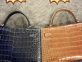 爱马仕鳄鱼皮价值(爱马仕鳄鱼皮有几种哪一种好)