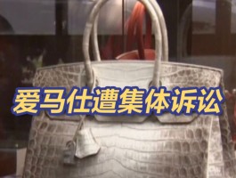 购买爱马仕包包有什么规则吗为什么(购买爱马仕包包有什么规则吗为什么要交税)