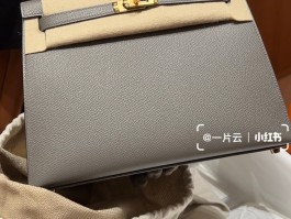 爱马仕雾霾灰蜥蜴皮(爱马仕蜥蜴皮是哪个地区的皮)