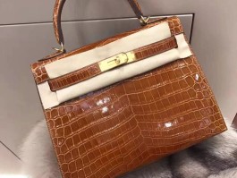 爱马仕鳄鱼皮铂金(爱马仕鳄鱼皮铂金包)