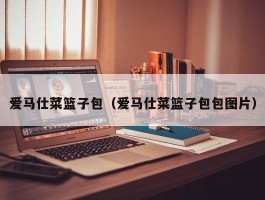 爱马仕菜篮子包（爱马仕菜篮子包包图片）