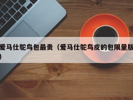 爱马仕鸵鸟包最贵（爱马仕鸵鸟皮的包限量版）