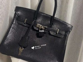 爱马仕蜥蜴皮工艺(爱马仕蜥蜴皮 喜马拉雅)