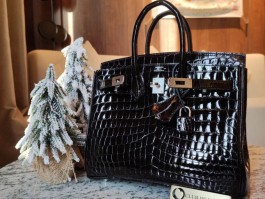 爱马仕黑色鳄鱼皮包包(爱马仕鳄鱼皮黑金birkin)
