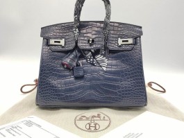 关于爱马仕birkin25鳄鱼皮黑银的信息