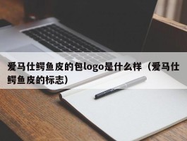 爱马仕鳄鱼皮的包logo是什么样（爱马仕鳄鱼皮的标志）