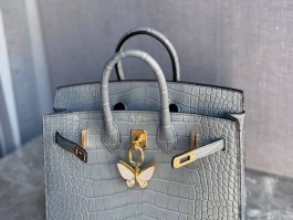 爱马仕女包包价格图片(爱马仕女士包包价格一览表 官网)