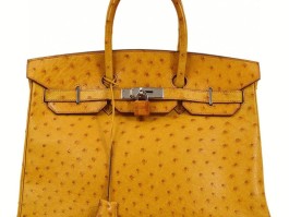 爱马仕birkin鸵鸟皮价位(爱马仕鸵鸟皮birkin蓝色25)