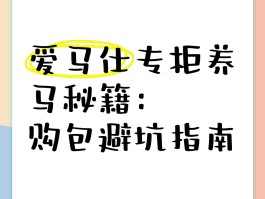 爱马仕包购买流程详解(购买爱马仕包包有什么规则)