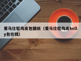 爱马仕鸵鸟皮包图纸（爱马仕鸵鸟皮kelly包价钱）