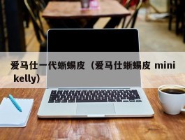 爱马仕一代蜥蜴皮（爱马仕蜥蜴皮 mini kelly）