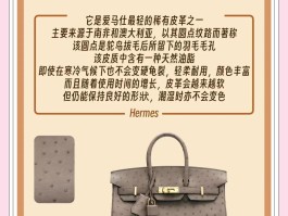 爱马仕稀有皮价格(爱马仕各种皮价格排序)