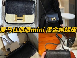爱马仕马赛克蜥蜴皮(爱马仕蜥蜴皮birkin)