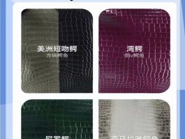 关于爱马仕鳄鱼皮供应商是泰国吗的信息