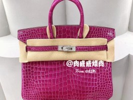 爱马仕鳄鱼铂金包拼接图纸(爱马仕铂金鳄鱼皮包全球三个限量款)