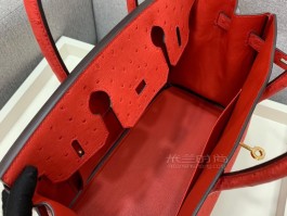 关于爱马仕蜥蜴皮birkin25原花红色的信息