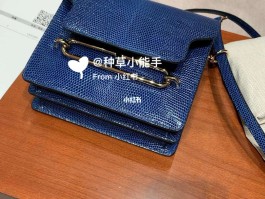 蜥蜴皮爱马仕怎么样(爱马仕蜥蜴皮 mini kelly)