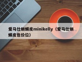 爱马仕蜥蜴皮minikelly（爱马仕蜥蜴皮包价位）