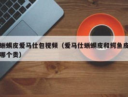 蜥蜴皮爱马仕包视频（爱马仕蜥蜴皮和鳄鱼皮哪个贵）