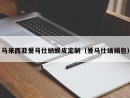 马来西亚爱马仕蜥蜴皮定制（爱马仕蜥蜴包）