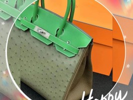 爱马仕铂金鸵鸟皮包真假辨别(爱马仕鸵鸟皮birkin 30)