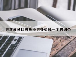 包含爱马仕鳄鱼小包多少钱一个的词条