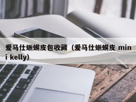 爱马仕蜥蜴皮包收藏（爱马仕蜥蜴皮 mini kelly）