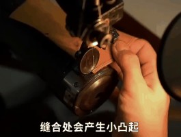 鸵鸟皮质手工制作流程图(鸵鸟皮质手工制作流程图片)