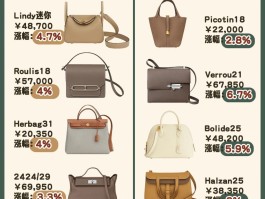 爱马仕包包价格2021年一览表(爱马仕包包最新价格)