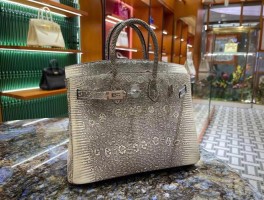 爱马仕蜥蜴(爱马仕蜥蜴皮birkin)
