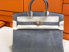 爱马仕原色蜥蜴皮birkin(爱马仕蜥蜴皮 mini kelly)