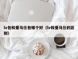 lv包和爱马仕包哪个好（lv和爱马仕的区别）