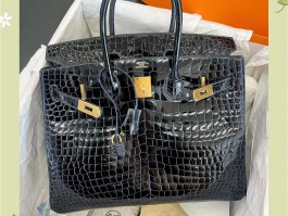 包含爱马仕birkin30鳄鱼皮穿搭的词条