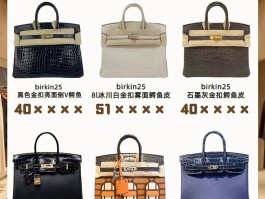 爱马仕鳄鱼皮拼接铂金包(爱马仕鳄鱼皮铂金包真假对比)