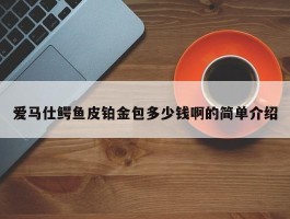 爱马仕鳄鱼皮铂金包多少钱啊的简单介绍