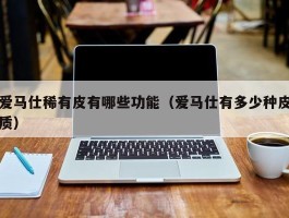 爱马仕稀有皮有哪些功能（爱马仕有多少种皮质）