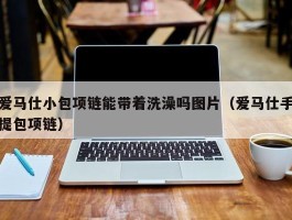 爱马仕小包项链能带着洗澡吗图片（爱马仕手提包项链）