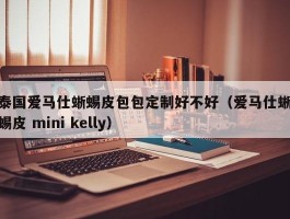 泰国爱马仕蜥蜴皮包包定制好不好（爱马仕蜥蜴皮 mini kelly）