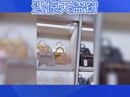 歹徒抢66个爱马仕包(爱马仕抢包软件)